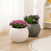 original sound - wildfiddle868