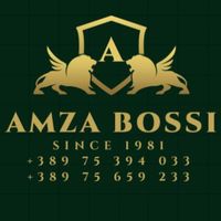 amza.bossi