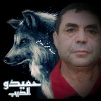 hmido.dib95