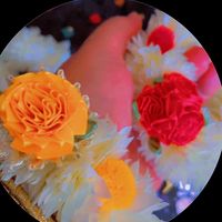 shazia_n77