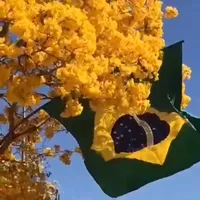 original sound - raphymodas