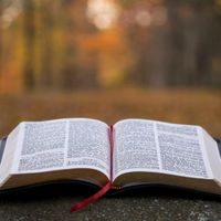 diario_de_uma_cristaa