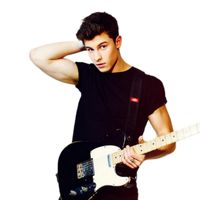 _shawn_fan