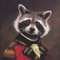 raccoondrift