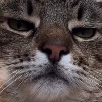 frasesepensamentosnossos