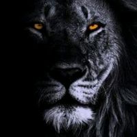 thenotoriosking