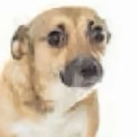 harristeeterdietcola