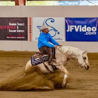 mankinsperformancehorses