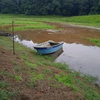 original sound - dianethovalle