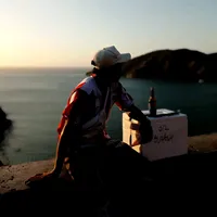 original sound - play_musicastatus