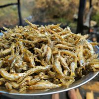 anniefinestfishmwanza