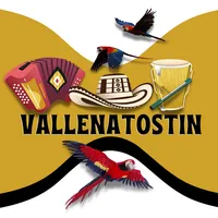 original sound - vallenatostin