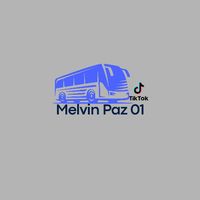 melvin.paz01