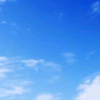 原聲 - 娃藝