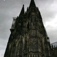 pazmetal28