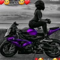 alesi384