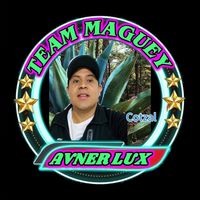 avnerlux