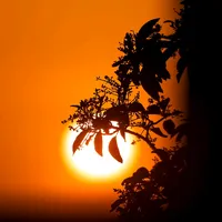 original sound - slimprince50