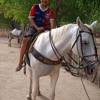 ramon.sousa663