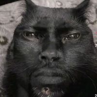 n0t__j0s3