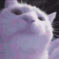 pokora x better off alone