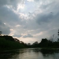 wilmer_antonio777
