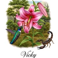 vicky.fenix