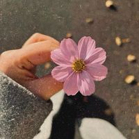 katty_kb31