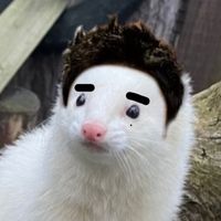 momoskzzz