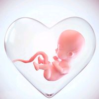 embarazofeliz_prenatal