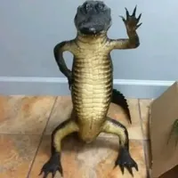 original sound - rana_poblana