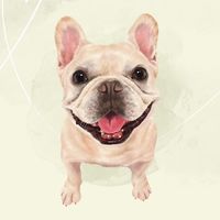 nono_0518