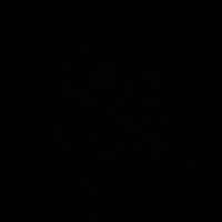indiretas_485
