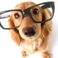 original sound - jrsnkvn