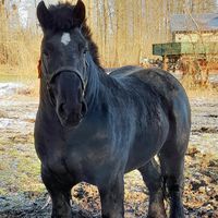 agnieszkarogalska1985