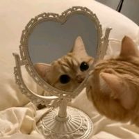 mikiwynn