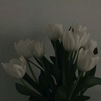siti_tiktok0