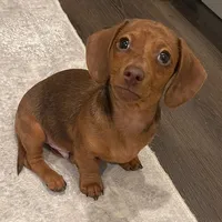 original sound - otis_theminiween