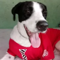 original sound - cliforf5