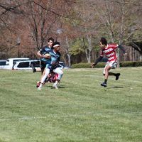 hurdlingoverthesuburbs