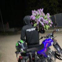 оригинальный звук