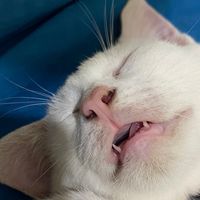 sleepymummyicannotsleep