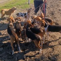 matiasvillalonmaldonado