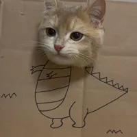 original sound - versersk