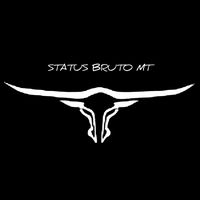 status_bruto_mt