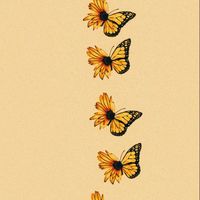 youaresoloved_andpretty