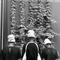 three_ninjas01