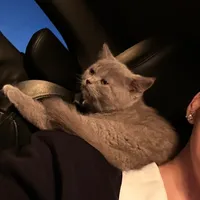 original sound - ita__era