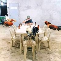 zito.medina