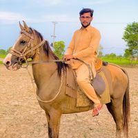 sharafatrai07